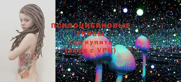 мет Ладушкин
