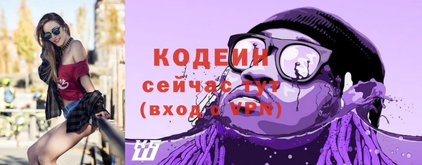 мет Ладушкин