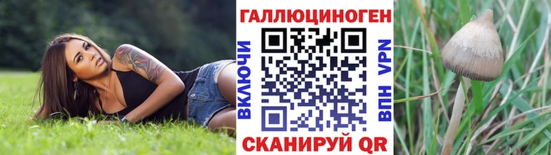 Псилоцибиновые грибы GOLDEN TEACHER  мориарти как зайти  Циолковский  наркошоп 